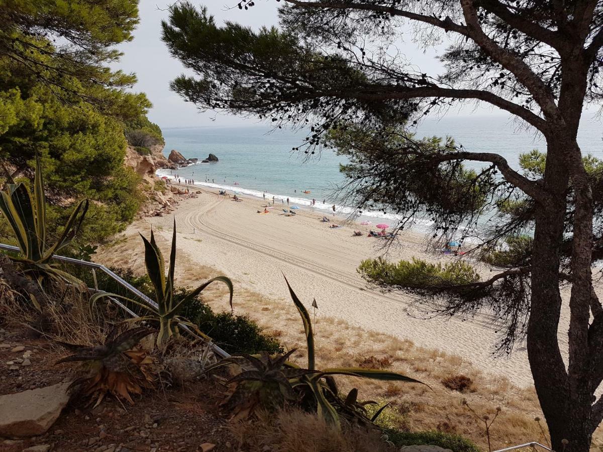Apartamento Tropikana Miami Playa Wifi Dış mekan fotoğraf